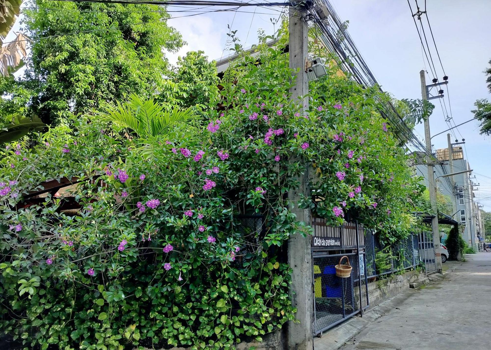 Oldy De Garden Aparthotel Τσιάνγκ Μάι Εξωτερικό φωτογραφία